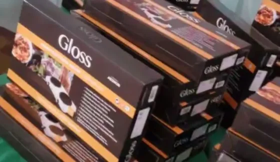 Vecinos de la Capital podrán acceder al Programa “Anafe en Casa”