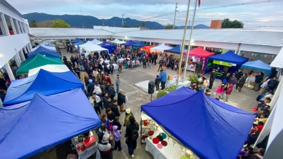 Gran Feria de Emprendedores por el Día de la Madre