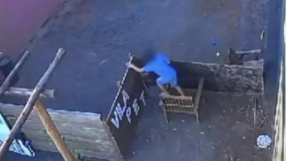 Un niño de 9 años irrumpe en una veterinaria y mata a 23 animales