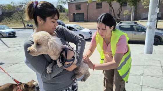 Conoce cómo será el cronograma de vacunación antirrábica la próxima semana