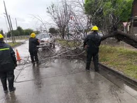 Tormenta: se registraron 16 incidentes durante la noche