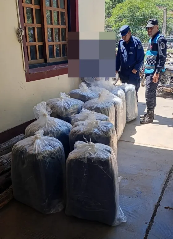 La Policía incautó 300 kilos de hojas de coca en el ingreso a Salta