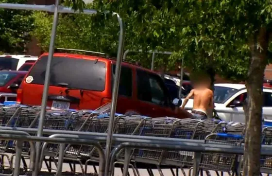 Asaltó a una mujer embarazada y ella lo atropelló con su camioneta. Mirá el video
