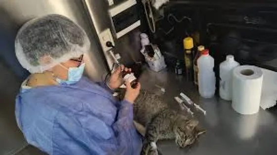 Móvil de Castración: retoma la atención desde la próxima semana