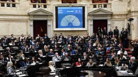 Suspensión de las PASO: los diputados definirán si apoyan la reforma electoral