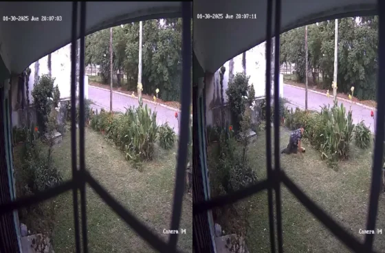 Heroína en Grand Bourg: La vecina que enfrentó a un ladrón cara a cara