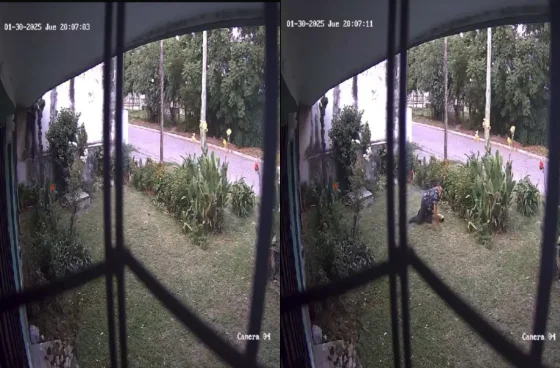 Otra vez zona liberada en barrio Grand Bourg