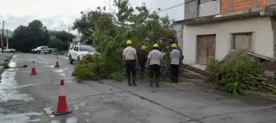 El Sistema de Emergencias Municipal 105 recibió 46 llamados tras la tormenta