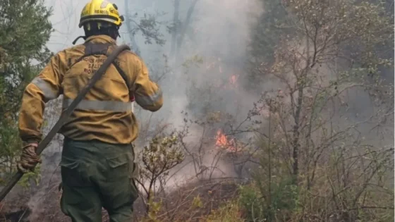 Incendio en El Bolsón: el fuego tiene en vilo a varios parajes poblados