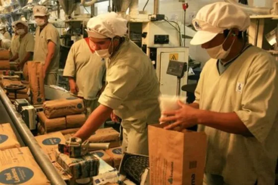 Ledesma recorta costos y desvincula a 165 trabajadores