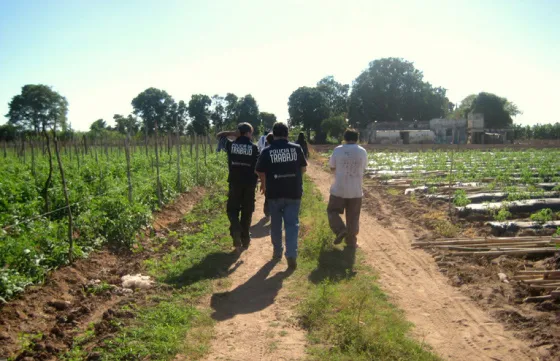 #ColoniaSantaRosa en una finca detectaron un menor trabajando