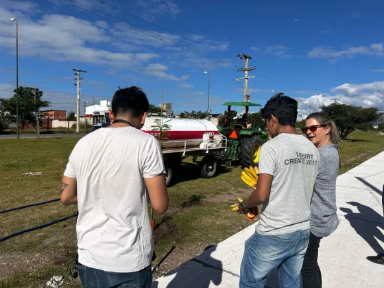 Se plantaron 70 nuevos árboles en la ruta 28