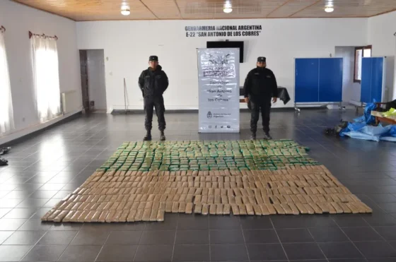 Secuestraron más de 150 kilos de hojas de coca en Campo Quijano