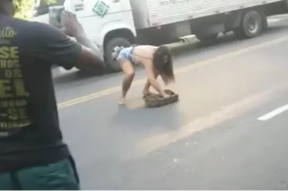 Atrapa con sus manos una anaconda que detenía el tránsito. Video