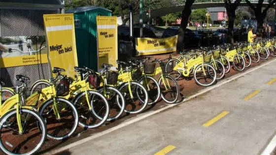 El gobierno nacional designó una directora de “movilidad en bicicleta”