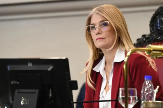 El Senado bonaerense le dio media sanción a la ley de reeleección indefinida