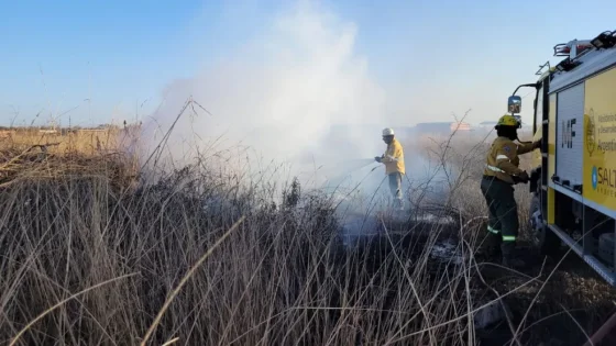 Sofocaron incendios de pastizales en Capital y el Valle de Lerma