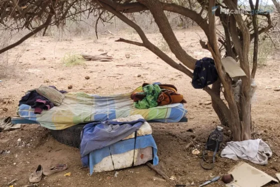 Víctimas de trata laboral en Salta recibieron $15 millones como reparación