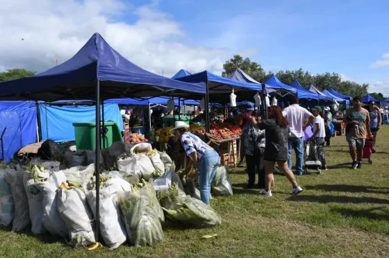 Este jueves vuelve “El Mercado en tu Barrio” a barrio Mosconi