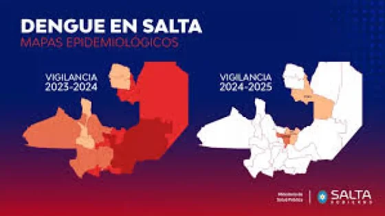 Disminuyeron un 99,9% los casos de dengue en la provincia