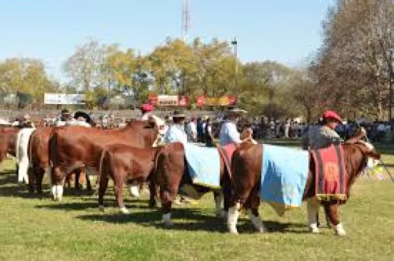 Salta celebró su día y lanzó la 81° Expo Rural Salteña