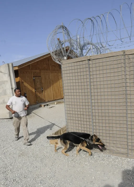 Perro antinarcóticos detectó la cocaína en Ruta 34