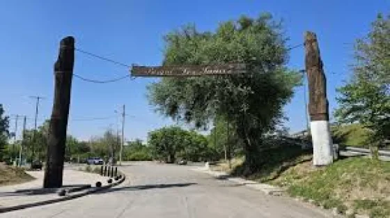 Mañana se realizará una plantación de árboles nativos en parques de la ciudad