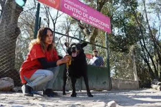 El Centro de Adopciones Municipal festejará el Día del Animal