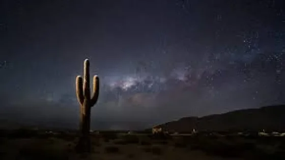 El Parque Nacional Los Cardones invita a vivir una noche única de astroturismo en los Valles Calchaquíes