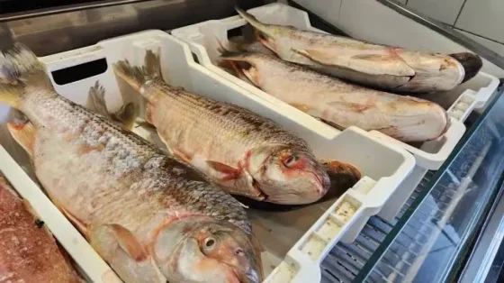 Semana del Pescado en el mercado San Miguel: conocé los precios y promociones