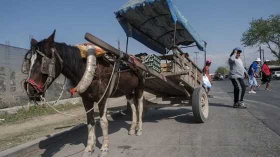 "En agosto NO VA a terminar la tracción a sangre y el intendente no va a reprimir a la clase obrera”