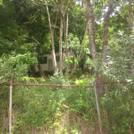 Asesinaron a una profesora argentina en la Universidad Central de Venezuela