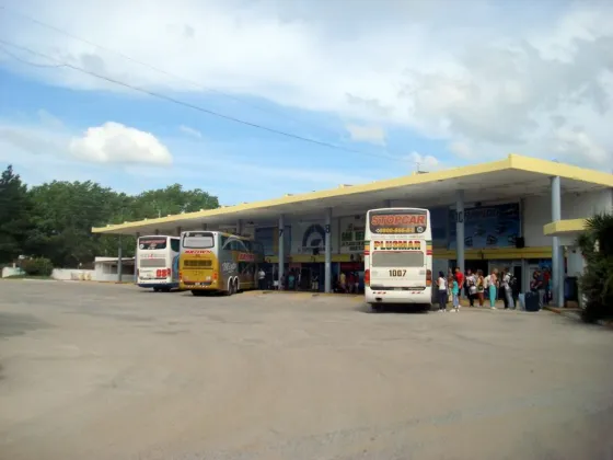 Madre descuidada: su hijo de dos años se fue solo en el colectivo