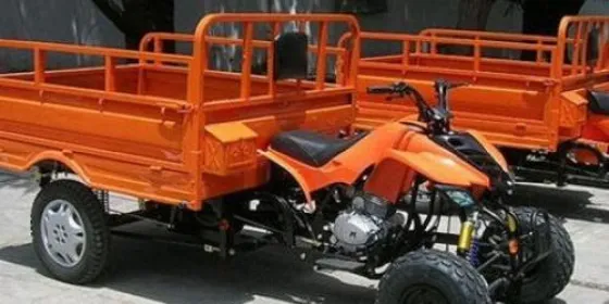 Imagen Ilustrativa de Zootropos