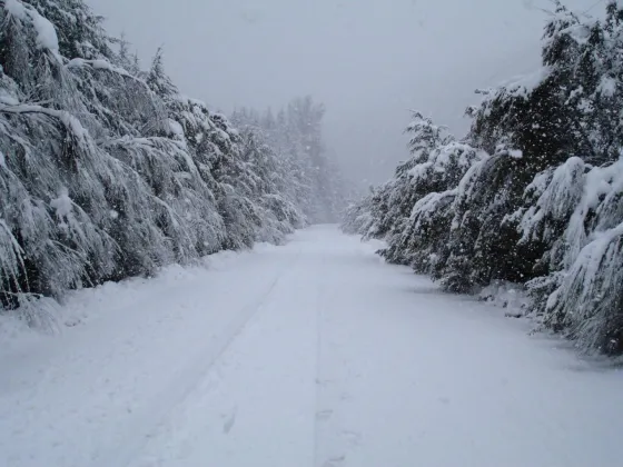 Miles de turistas varados en Bariloche