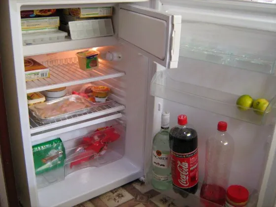 Por bajas de tensión justicia ordena a EDESA a reponer una heladera