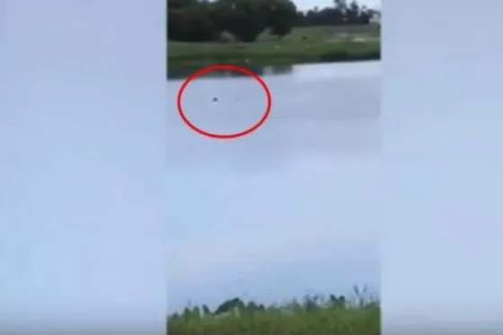 Adolescentes graban momento en que se ahoga un discapacitado. Video