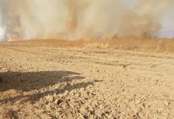 GRAN incendio de pastizales en las cercanías del aeropuerto. Video