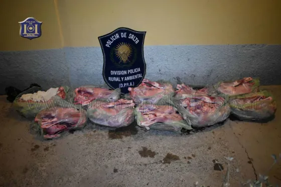 La detuvieron por vender carne en plena Plaza 9 de Julio