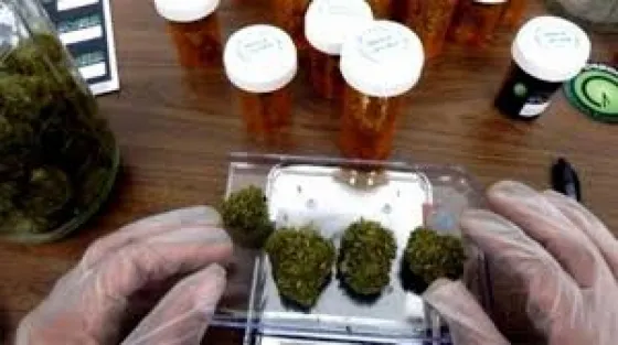 Otro fallo beneficia a los consumidores de cannabis medicinal