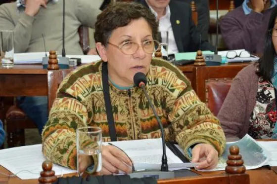 Concejal capitalina, Cristina Foffani