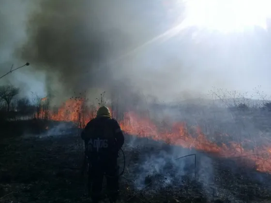 Incendio Forestal en San Luis