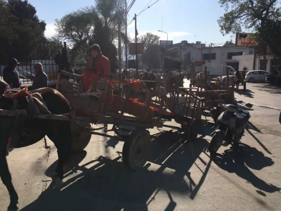 Tres policías heridos en el enfrentamiento con carreros. Video