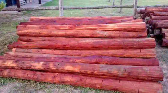 Policías de Quebrachal acusados de robar postes