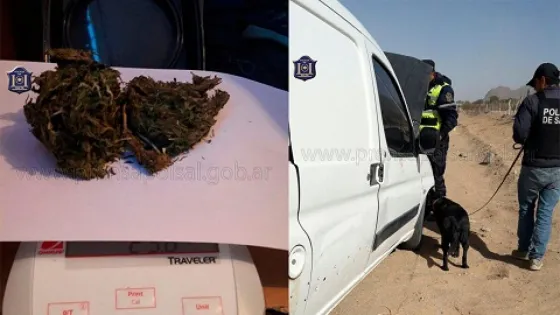 Secuestraron más de 120 dosis de marihuana