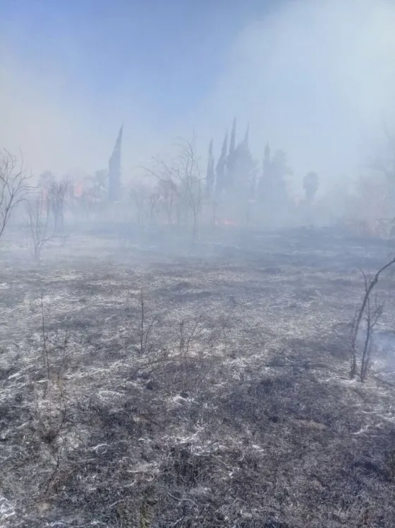 Sofocaron un incendio en Santa Ana 1. Fotos