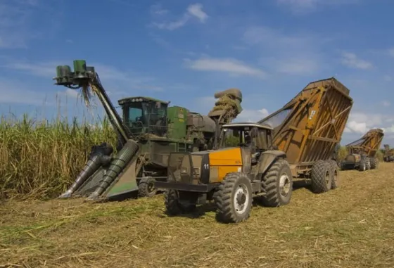 Se levantó el paro en el Ingenio Tabacal
