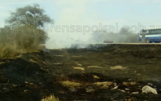 Sofocaron un incendio de pastizales