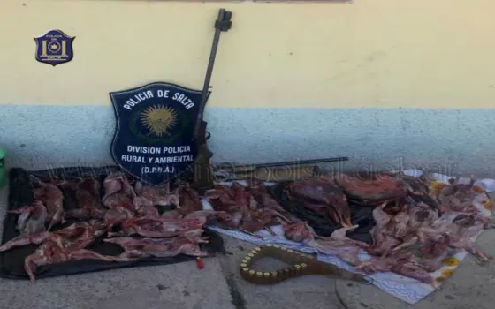 Secuestraron vizcachas faenadas