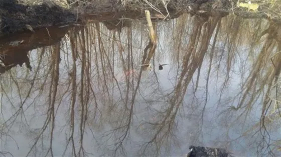 Confirman que hay restos humanos en el avión hallado en el Delta del Paraná